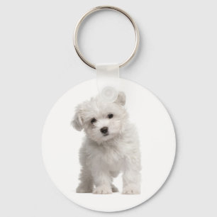 Llavero Keychain, Personalizado del amor al perro de Malta