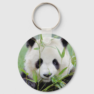 Llavero keychain Photo gigante panda , animales 0218.