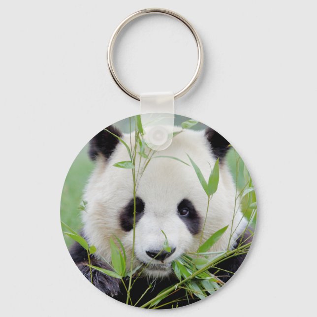 Llavero keychain Photo gigante panda , animales 0218. (Anverso)