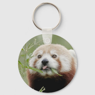 Llavero keychain Photo red panda , animales 0325.