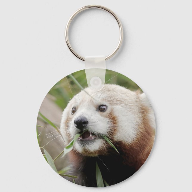 Llavero keychain Photo red panda , animales 0326. (Anverso)