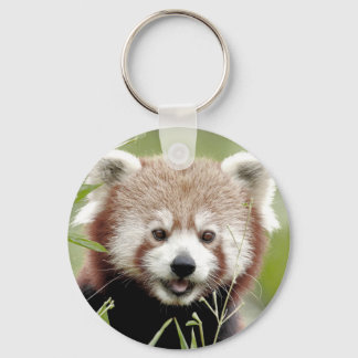 Llavero Keychain photo red panda. Panda roux.