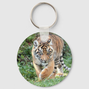 Llavero keychain Photo tiger , animales 0190.