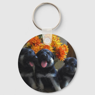 Llavero Keychain Puppies