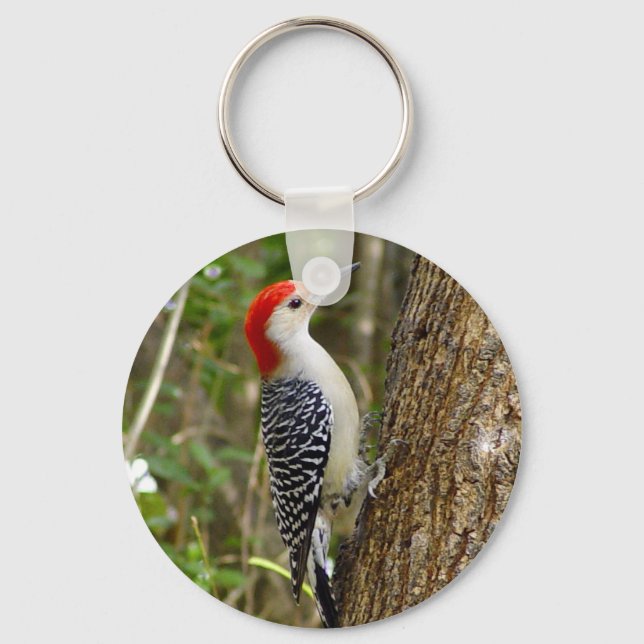 Llavero Keychain Red Bellie Woodpecker (Anverso)