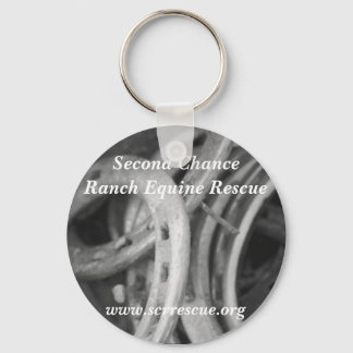 Llavero Keychain SCR