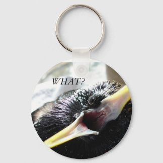 Llavero Keychain Starling Europeo