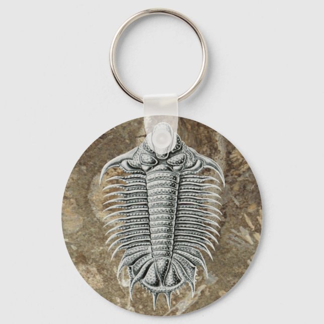 Llavero Keychain trilobita (Anverso)
