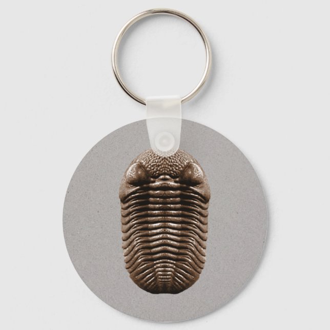 Llavero Keychain trilobita (Anverso)