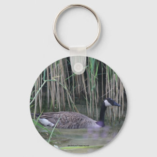 Llavero Keyring de la cadena de fotos de la naturaleza de 