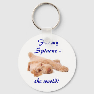 Llavero keyring - "For my Spinone - the world!".