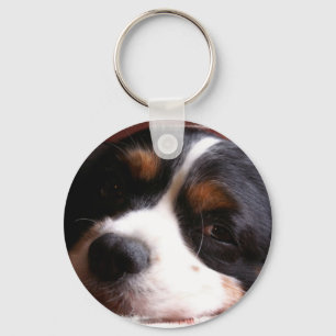 Llavero King Charles Cavalier Spaniel Keychain