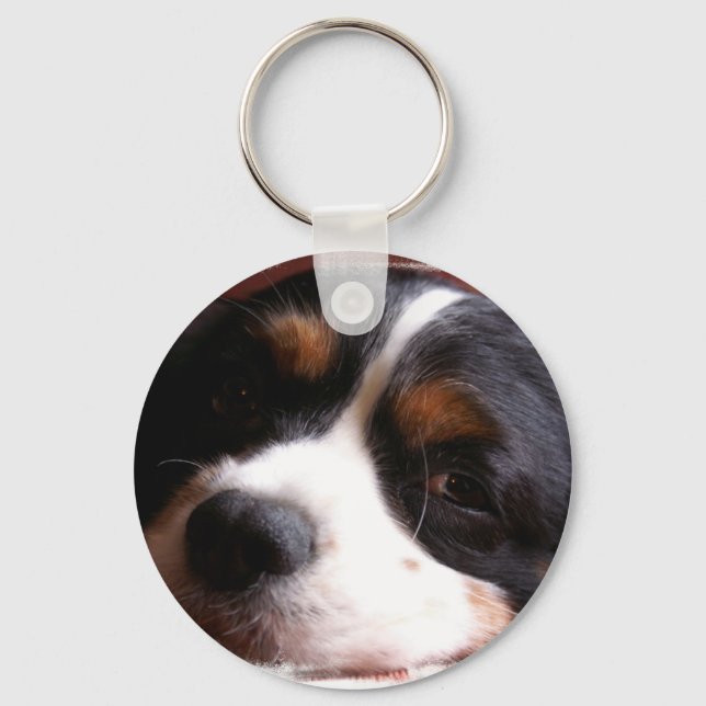 Llavero King Charles Cavalier Spaniel Keychain (Anverso)