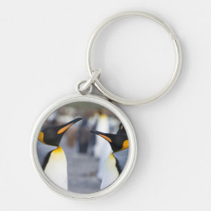 Llavero King Penguins