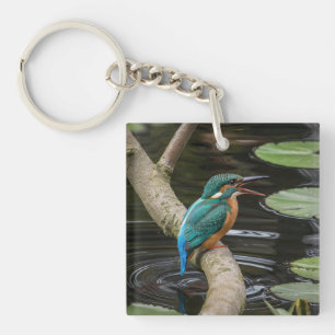 Llavero Kingfisher Bird