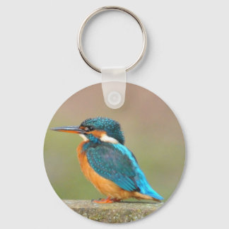 Llavero Kingfisher Bird Keychain