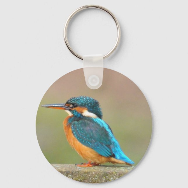 Llavero Kingfisher Bird Keychain (Anverso)