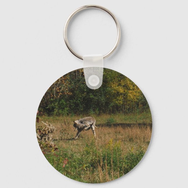 Llavero Kissing Butt Donkey (Anverso)