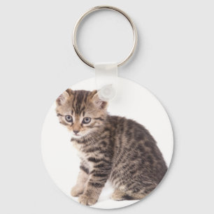 Llavero kitten