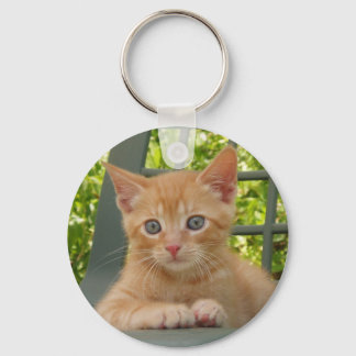 Llavero Kitten Dax Keychain