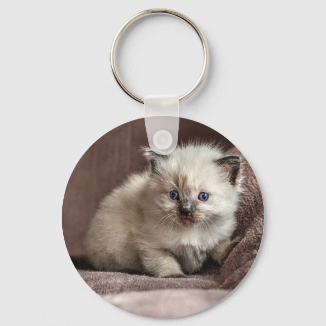 Llavero Kitten Keyring (Anverso)