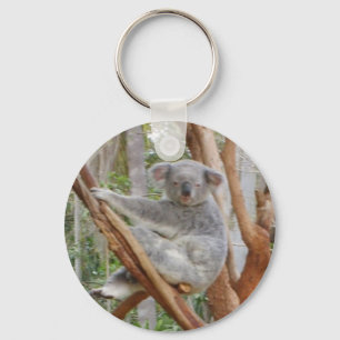 Llavero Koala
