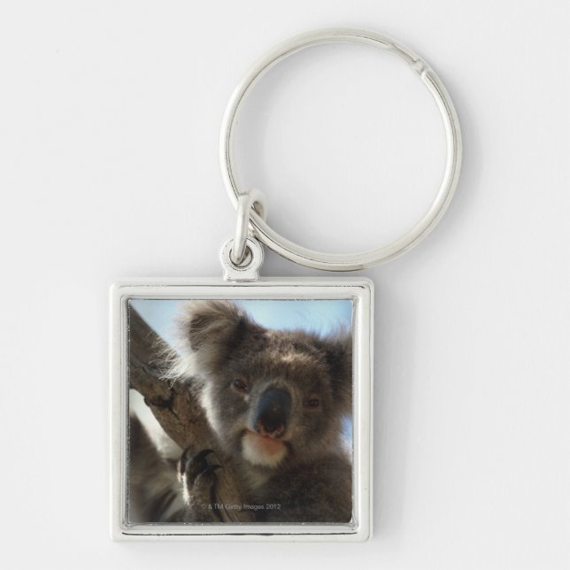 Llavero koala (Frente)