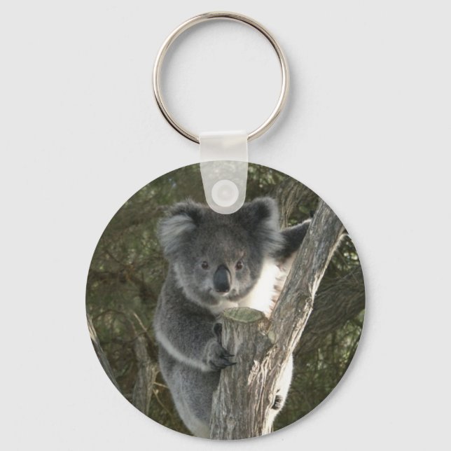 Llavero Koala Adorable Subiendo un Árbol (Anverso)
