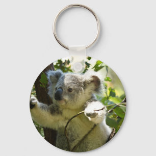 Llavero Koala asombroso linda del bebé en un árbol