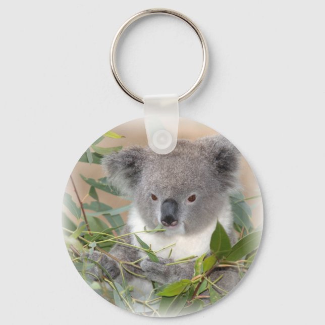 Llavero Koala Bear Keychain (Anverso)