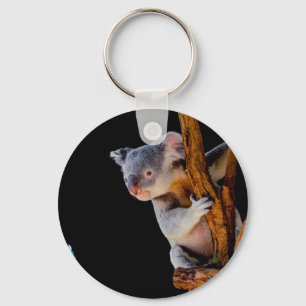 Llavero Koala Cute en gris árbol