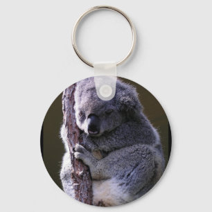 Llavero Koala en la cadena de claves del árbol