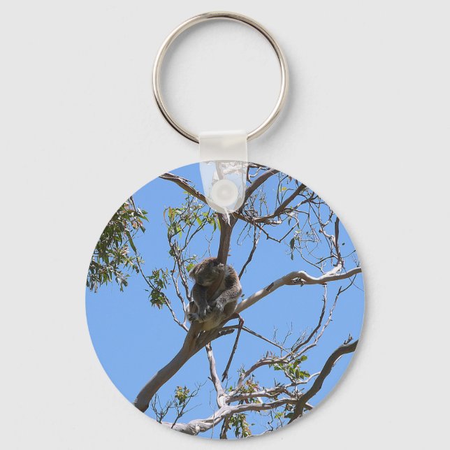 Llavero Koala Nap (Anverso)