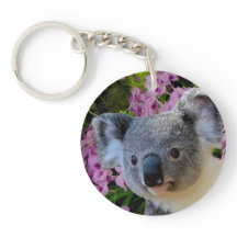 Koala y orquídeas