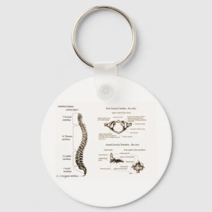 Llavero La espina dorsal detalla sepia