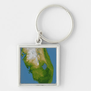 Llavero La Florida meridional