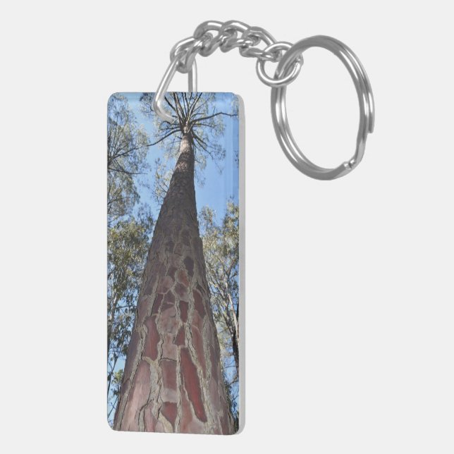 Llavero La Gerche Ponderosa Pine Key Ring (Atrás Derecha)