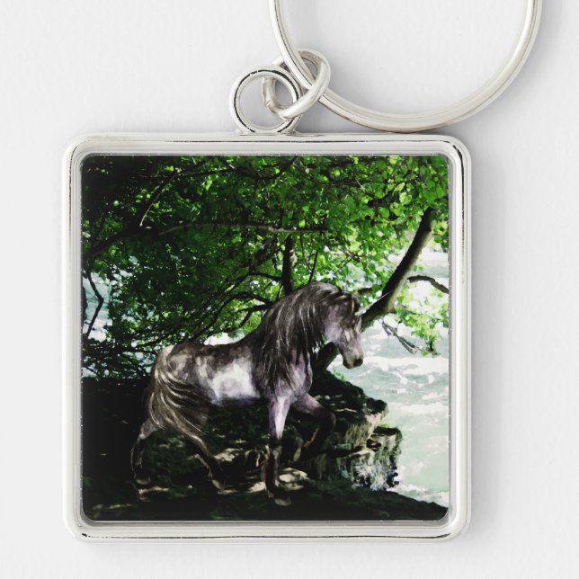 Llavero La gran cadena divisoria fluvial (Frente)