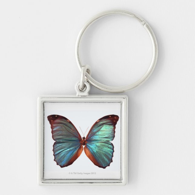Llavero La mariposa con las alas separó 2 (Frente)