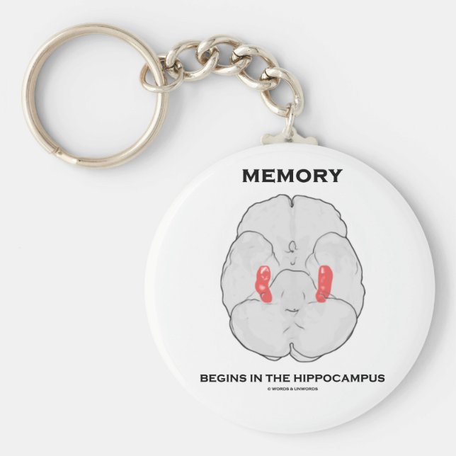 Llavero La Memoria Comienza En El Hippocampus (Psicología) (Frente)