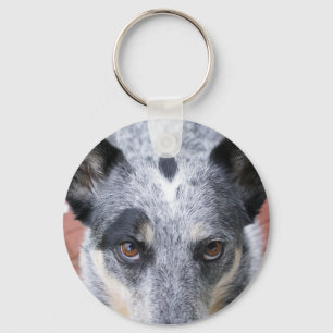Llavero La mirada fija abajo - una mirada del cowdog