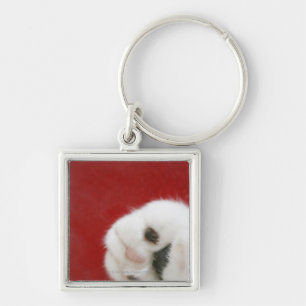 Llavero La pata del gato