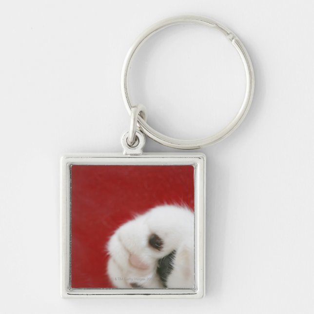 Llavero La pata del gato (Frente)