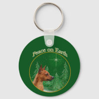 La paz en miniatura de Pinscher