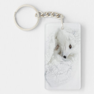 Llavero La zorra ártica se acurrucó en invierno