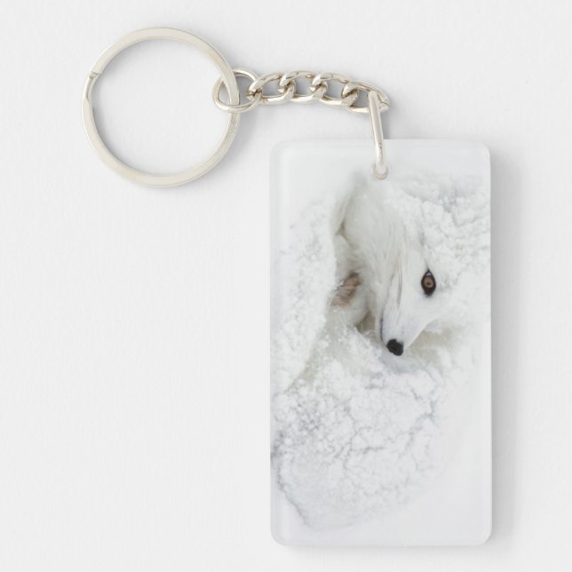 Llavero La zorra ártica se acurrucó en invierno (Frente)