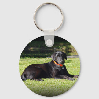 Llavero Laboratorio negro