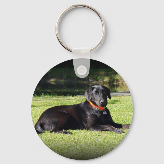 Llavero Laboratorio negro (Anverso)