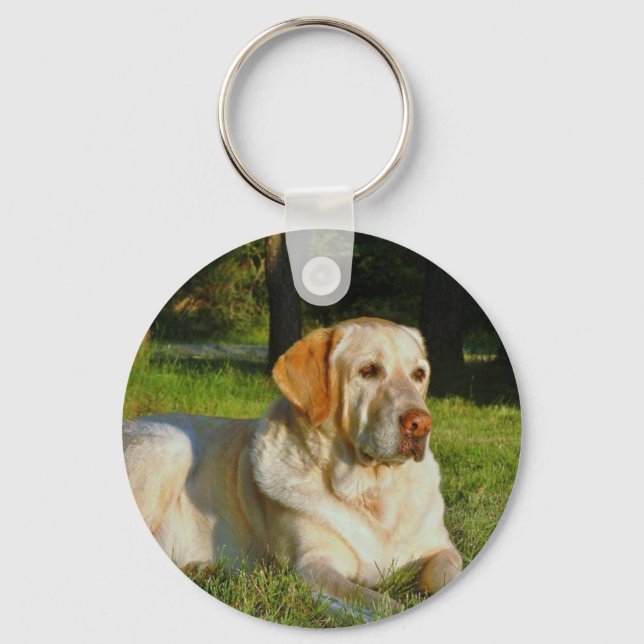 Llavero Labrador amarillo recuperador (Anverso)