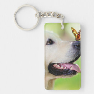 Llavero Labrador And Butterfly Throw Pillow